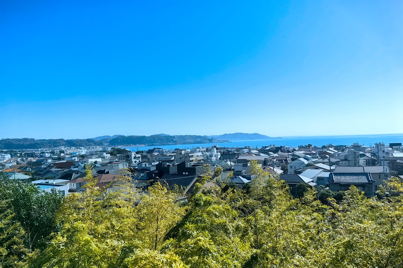 坂東三十三所-海光山長谷寺